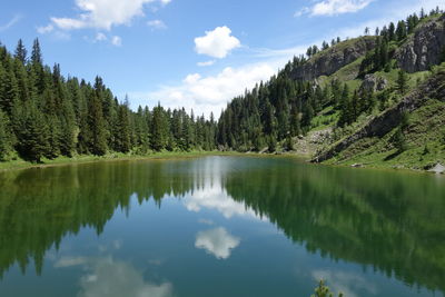 Scenic view of lake by trees against sky