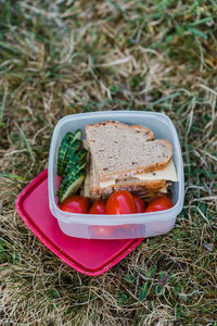 Snack with bread, cucumber and tomatoes.