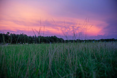 Scenic view of field against sky during sunset