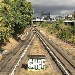 Railroad tracks amidst trees against sky