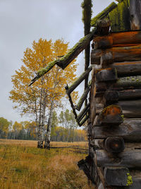 Stack of tree on field against sky