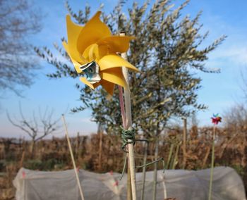 Low angle view of yellow flag on field against sky