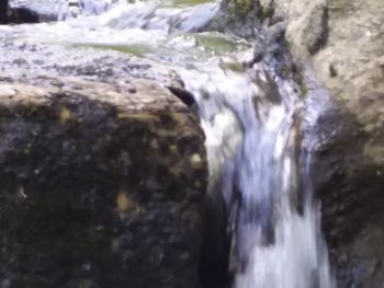 Scenic view of waterfall