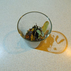 High angle view of drink on glass table