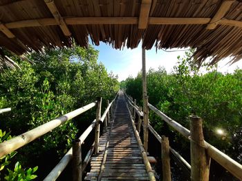 Footbridge amidst trees in forest against sky