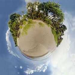High angle view of coconut palm tree against sky