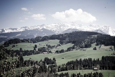 Scenic view of landscape against sky