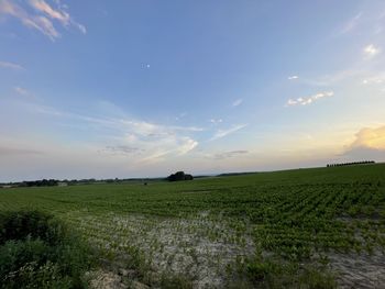 Scenic view of field against sky during sunset