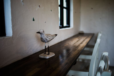 View of bird on table