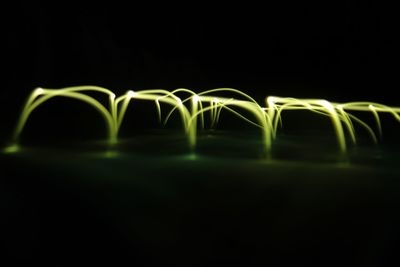 Illuminated lights at night
