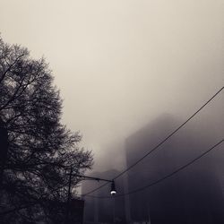 Low angle view of tree against sky