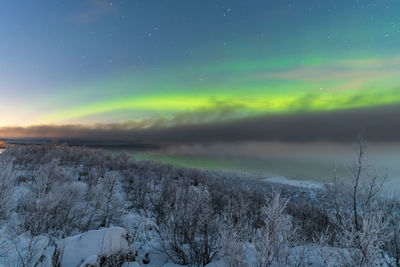 Scenic view of snowy landscape against sky at night with northern lights