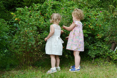 Full length of girl standing on grass