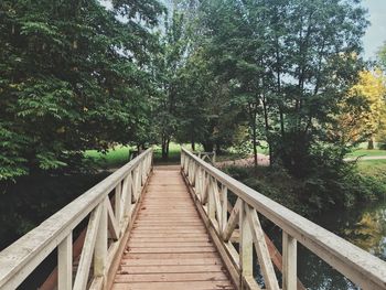 Footbridge amidst trees in forest