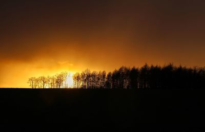 Silhouette trees on landscape against sky at sunset