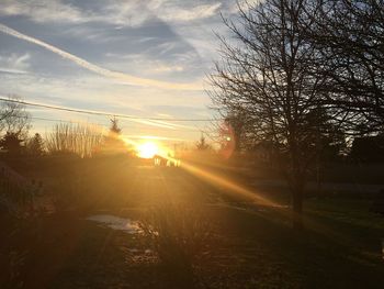 Sunlight streaming through silhouette trees during sunset