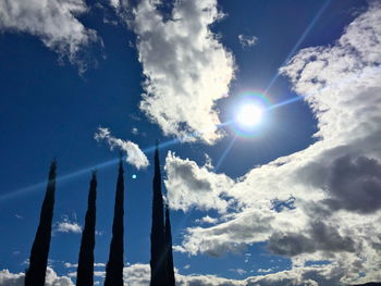 Low angle view of trees against sky