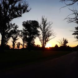 Silhouette trees on field against sky at sunset