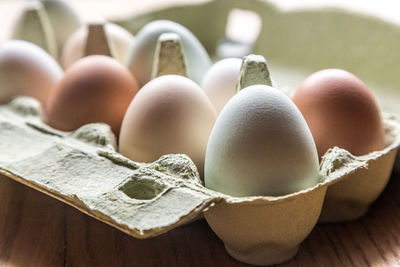 Close-up of eggs