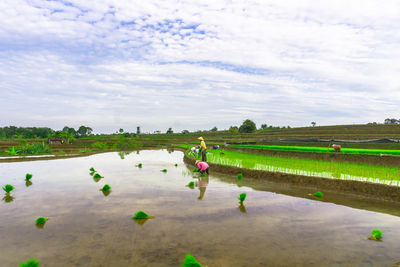 Rear view of people walking on field against sky