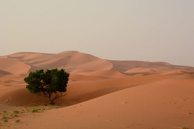 Scenic view of desert against clear sky