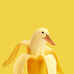 Close-up of bananas against yellow background