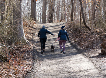 Rear view of people walking on street amidst trees in forest