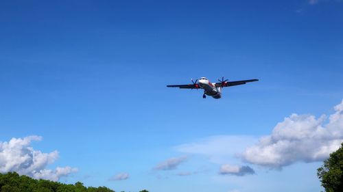 Low angle view of airplane flying in sky