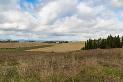 Scenic view of landscape against sky