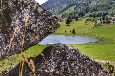 Scenic view of green landscape against sky