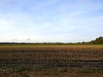 Scenic view of agricultural field against sky