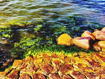 High angle view of rock by sea