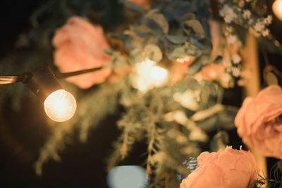 Close-up of illuminated light bulb