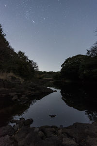 Reflection of trees in water at night