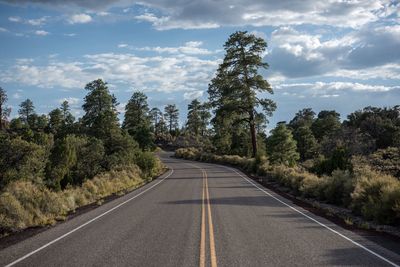 Empty road along trees and plants against sky