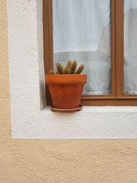 Potted plant on window sill of house