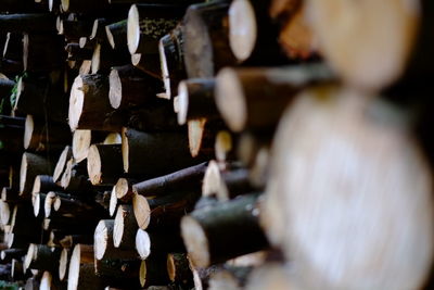Full frame shot of logs stacked outdoors