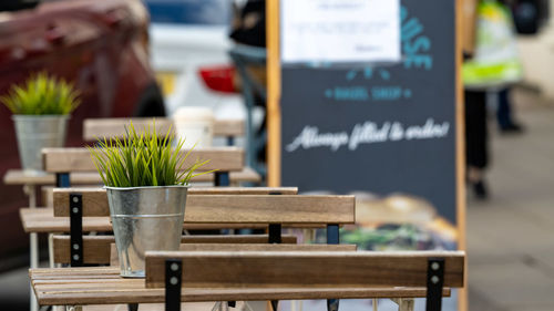 Close-up of potted plant on table at cafe