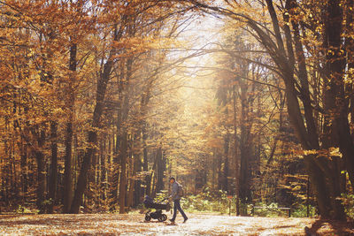 Side view of man walking in forest during autumn