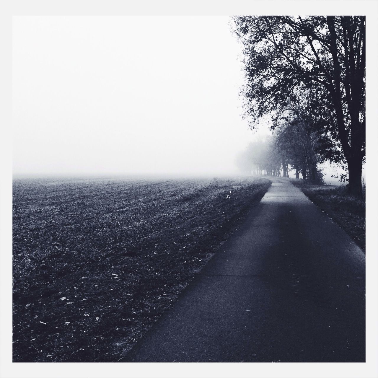 the way forward, transfer print, road, diminishing perspective, auto post production filter, tranquil scene, tranquility, clear sky, vanishing point, transportation, copy space, tree, scenics, nature, beauty in nature, water, street, sky, empty