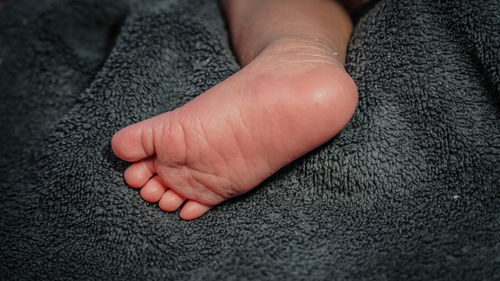 Close-up of baby hand