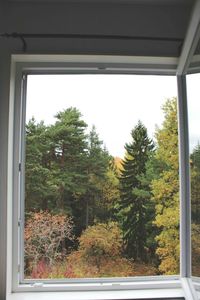 View of plants through window