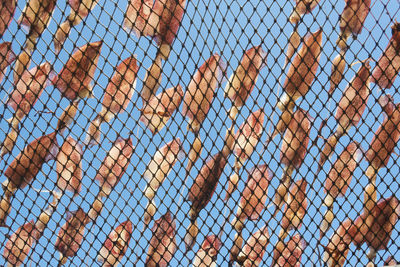 Full frame shot of chainlink fence against sky