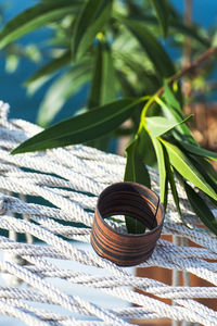 Close-up of potted plant on table