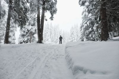 Man walking on snow covered trees