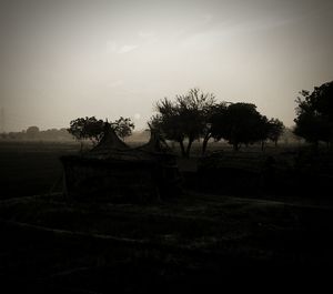 Trees on field against sky