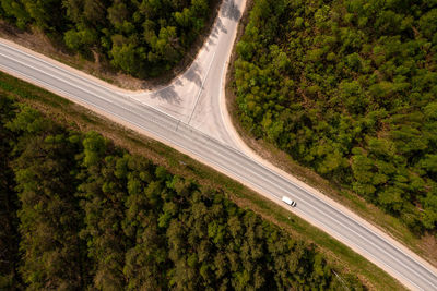 High angle view of road amidst trees