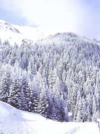 Scenic view of snow covered mountains