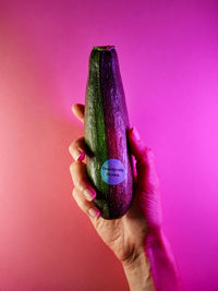 Organic zucchini in female hand on purple neon background