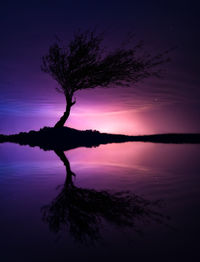 Silhouette tree by lake against sky during sunset